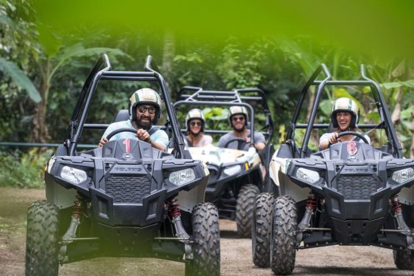 buggy (1)