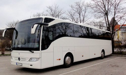bus bus