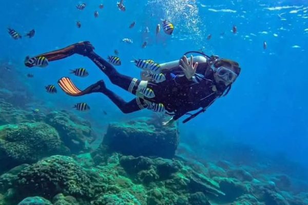 diving (2)