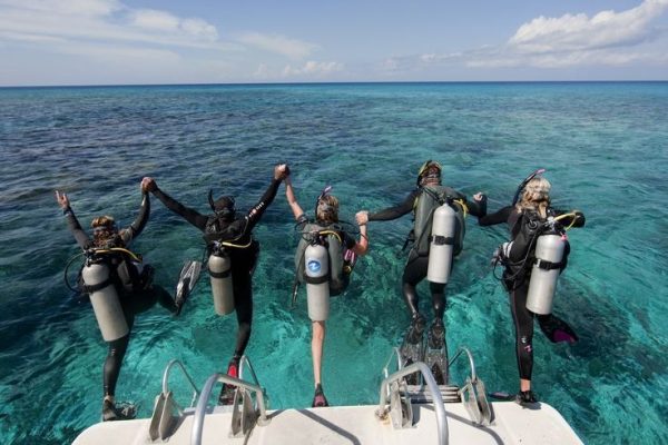 diving (3)
