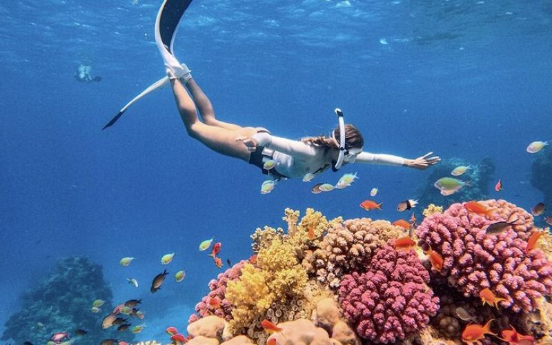 snorkeling (1)